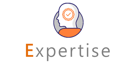 Alcineo our values expertise